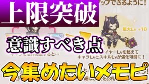 【プリコネR】キャラ限界突破で意識する点とレベル上限解放優先度解説【レベル上限突破】