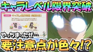 【プリコネR】要注意点あり！キャラレベル限界突破が結構エグい素材要求数かつ重要機能っぽいので解説【キャラLv上限解放】
