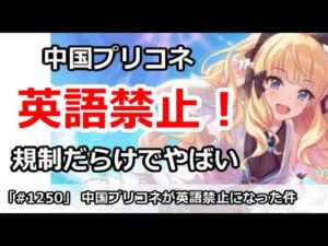 【プリコネ】英語禁止！中国プリコネが規制だらけでやばいことに・・・【プリンセスコネクト！】
