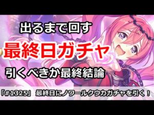 【プリコネ】最終日にノワールクウカガチャを引く！結局引くべきか最終結論【プリンセスコネクト！】