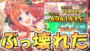 【プリコネR】これは魔改造ｗｗクリスマスアキノ専用装備使ってみたので性能解説！ぶっ壊れた火力と永続味方バフを貰いました【クリアキノ】