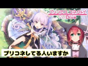 私がプリコネのダンジョンに勝てるのか教えて欲しいです【プリンセスコネクト】【Princess Connect!Re:Dive】