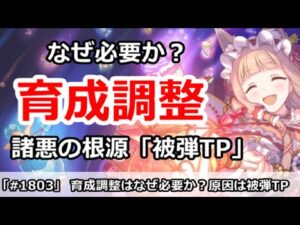 【プリコネ】育成調整はなぜ必要なのか！？諸悪の根源「被弾TP」【プリンセスコネクト！】