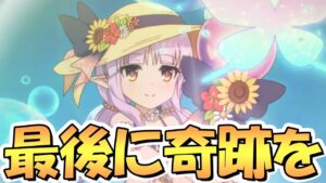 【プリコネR】これが俺の最後の水着キョウカちゃん無料10連ガチャだあああああああ゛あ゛あ゛あ゛あ゛あ゛あ゛！！！【ラ杯】【無料10連】【9日目】【4.5周年】