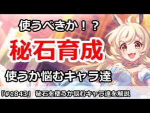 【プリコネ】貴重な秘石を使うか悩むキャラ解説！使うべきなのか！？【プリンセスコネクト！】