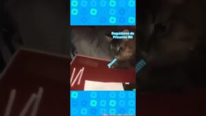 Princess Connect! Re:Dive México | Recordatodrio de Stream | Todos los Jueves | en la Noche | #short