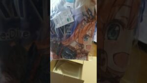 【プリコネR】ペコリーヌ フルグラフィックＴシャツ Ｌサイズ 届きました！【プリンセスコネクト！Re:Dive】