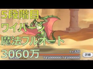 【プリコネR】5段階目ワイバーン　魔法フルオート3060万【10月クランバトル】