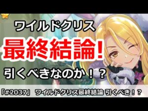 【プリコネ】ワイルドクリスガチャ 最終結論！引くべきなのか！？【プリンセスコネクト！】