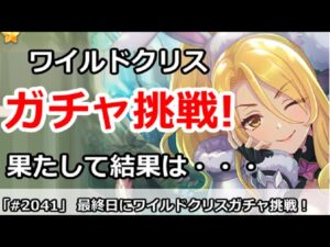 【プリコネ】ワイルドクリスガチャに最終日挑戦！果たして結果は・・・【プリンセスコネクト！】