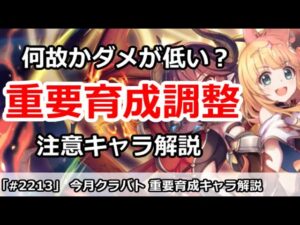 【プリコネ】1月クラバト 何故かダメが低い人必見！重要育成調整キャラ解説【プリンセスコネクト！】