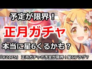 【プリコネ】正月予定がやばすぎ！まじで正月TW星6がくるのかも！？【プリンセスコネクト！】