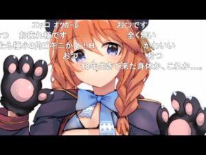 【コメ付き】3分で分かる日朝アニメに負けた女【ユニ プリコネR】