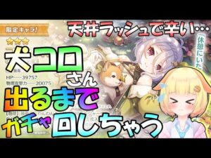 【プリコネR】コッコロ(レンジャー)出るまでガチャるんです✨🎵"袖くりぃむ"のプリコネ奮闘記✨(第535日目)【Vtuber】