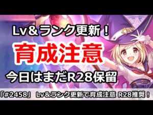 【プリコネ】Lv＆ランク更新で色々育成注意！今日はまだR28保留推奨【プリンセスコネクト！】