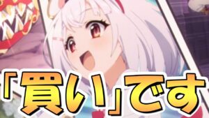 【プリコネR】こーーーれは間違いなく「買い」です【ランク29】【新装備】【プリコネ】