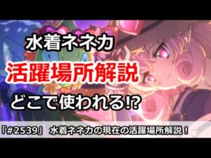 【プリコネ】水着ネネカの現在の活躍場所解説！性能評価アンケも実施中【プリンセスコネクト！】
