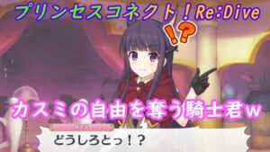 【プリコネR】アメス様の言葉を忠実に守った結果…カスミが大変なことにｗ [Princess Connect!Re:Dive]