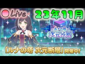 🔴【👑プリコネ】完全初見オリチャー　次元断層（23年11月ver）　とどめ【プリセスコネクトRe:Dive】