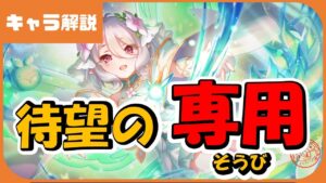 【プリコネ】ついに来た！プリコロ専用装備！！【プリコネR】【解説】