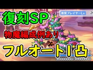 【プリコネR】復刻SP　フルオート1凸【イベントSP】【ハッピー・ハプニング　幸せの双子天使と聖夜の贈り物】