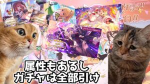 【プリコネR】プリフェスの情報を見た感想！！。木村ぁ！！今年もよろしく😘【猫ミーム】【プリコネフェス2024】