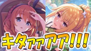 【プリコネR】遂に来た水着なかよし部！そして大型アプデの追加情報公開！最新情報まとめ！【プリコネフェスDAY１】