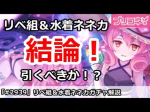 【プリコネ】リベレイター組＆水着ネネカガチャ解説！引くべきか！？【プリンセスコネクト！】