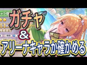 【プリコネR】ウインタークロエが来る‼ガチャ&検証⁉