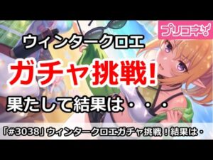 【プリコネ】ウィンタークロエガチャ挑戦！果たして結果は・・・【プリンセスコネクト！】
