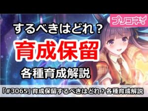 【プリコネ】育成保留はするべき？Lv限界突破やプリンセスナイトなど【プリンセスコネクト！】