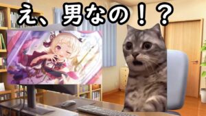 【猫ミーム】プリコネで性癖がぶち壊れた時の話【プリコネR】