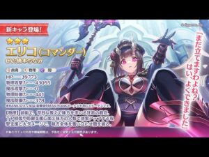 【プリコネ】コマンダーエリコで遊ぶ枠