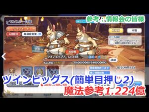 【プリコネ】ツインピッグス魔法参考1.224億(4段階目)簡単目押し2
