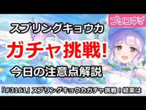【プリコネ】スプリングキョウカ最終日ガチャ挑戦！＆今日の注意点解説【プリンセスコネクト！】